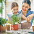 24Pcs 12 Summer JarThenaAMCS Acrylic Plant Label Signs Styles T-Type Herb Garden Markers Waterproof Reusable Plant