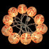 YULETIME Plum Blossom Lantern String Lights, 10 Count Nylon Lantern on 7.6' White Wire, UL Listed