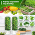 Minkeytal 2-3 Herb Saver for Refrigerator - Herb Keeper & Cilantro Container for Fridge | Vegetable Preservation