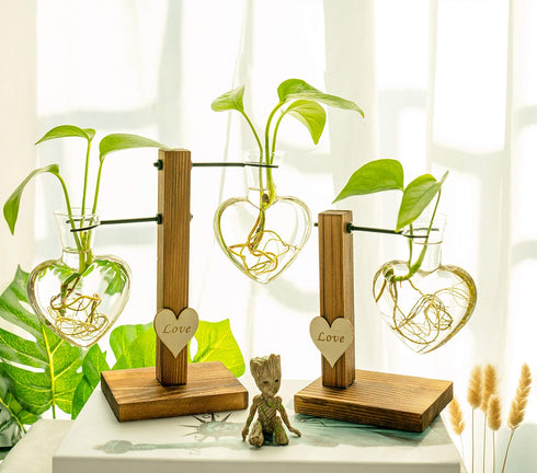 Bulb (D(1 Kingbuy Hydroponic Glass Vase Vintage Desktop Plant Terrarium Planter Vase Water Planting Propagation Vase