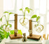 Bulb (D(1 Kingbuy Hydroponic Glass Vase Vintage Desktop Plant Terrarium Planter Vase Water Planting Propagation Vase