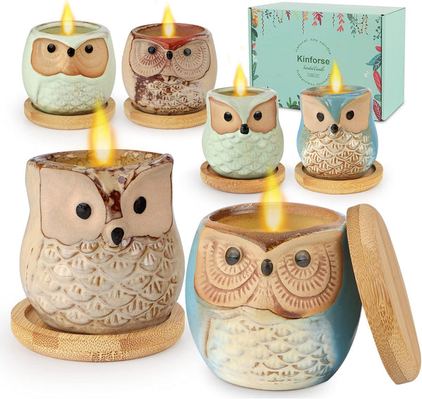 Citronella Candles Outdoor Gift Ideas, 6x3.5oz Novelty Owl Soy Candles for Garden, Porch, Outdoor Décor