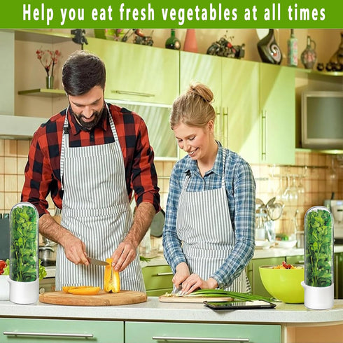 Minkeytal 2-3 Herb Saver for Refrigerator - Herb Keeper & Cilantro Container for Fridge | Vegetable Preservation
