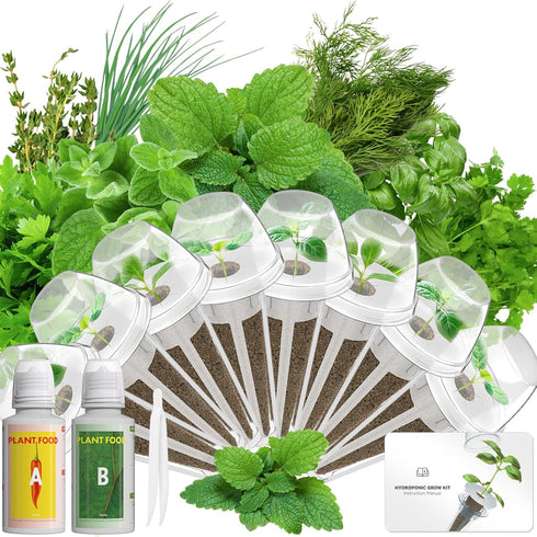 Gourmet Herb Seed Pod Kit Compatible with AeroGarden, idoo, Ahopegarden, Gardencube with
