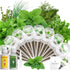 Gourmet Herb Seed Pod Kit Compatible with AeroGarden, idoo, Ahopegarden, Gardencube with