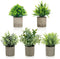 AUUGUU Artificial Potted Plants Set of 5, Realistic Faux Greenery in Cement