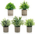 AUUGUU Artificial Potted Plants Set of 5, Realistic Faux Greenery in Cement