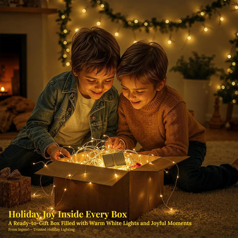 inpmrl 12 Pack 7ft 20 (12 Pack LED Fairy Lights, LED Battery Operated Silver Wire String Lights, Warm White Mini Starry
