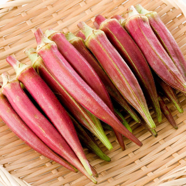 Eden Brothers Okra Seeds - Jing Orange Non-GMO Seeds for Planting, 1