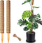 CHIAFFI 2 Pack 21 Inch Moss Poles, Stackable Moss Pole for Plants Monstera,