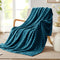 Whale Flotilla Flannel Fleece Throw Blanket, Lightweight Soft Plush Chevron Design, 50x60 Inch, Teal for Couch Sofa Bed