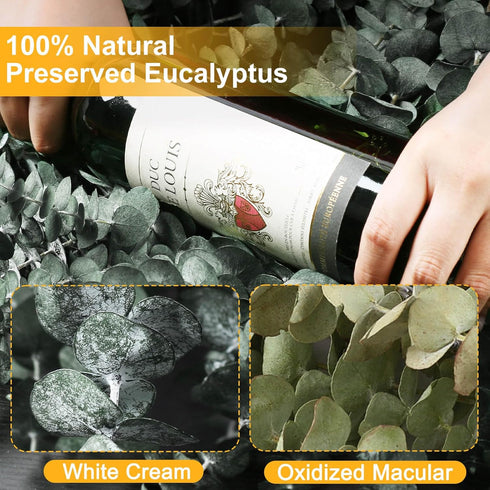 12 PCS Large Dried Eucalyptus Bundle for Shower - 17" Preserved Stems, Fresh Real Leaves for Hanging Decor