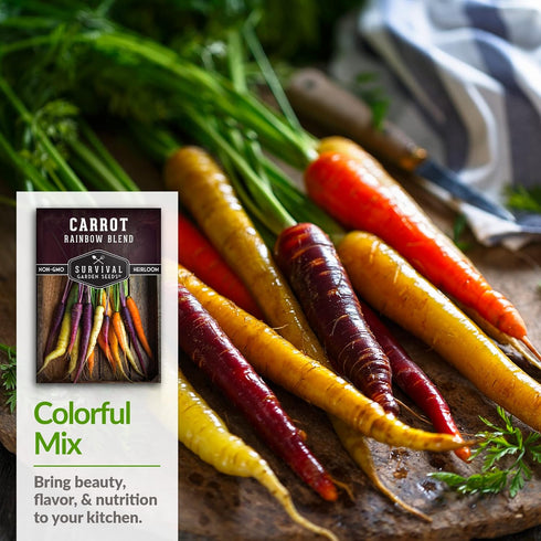 (2 Packs) Rainbow Carrot Seeds for Planting Colorful Heirloom Blend Including Purple, Yellow & Orange Carrots