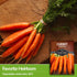 126 (2 Packs) Danvers Carrot Seeds Danvers Half-Long Carrots for Planting, High-Yield Heirloom Variety Non-GMO, Open