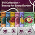 125 Packets SVI Cherokee Purple Tomato Seeds (Solanum lycopersicum) Purple Cherokee Tomato Seed Heirloom Tomatoes