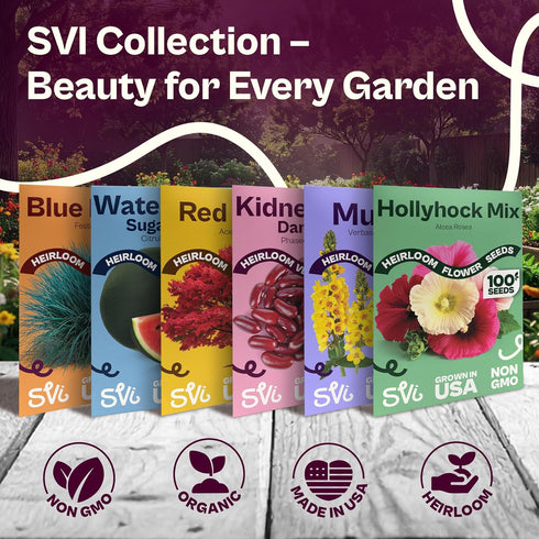 350 Packets SVI Determinate Beefsteak Tomato Seeds (Solanum lycoperscium) Beefsteak Tomatoes Seed Beef Steak Tomatoes