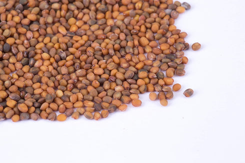 Pack Vegetable and Herb Seeds Variety for Home Garden Planting, AB
