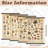 4 15.7 23.6 Inch(Cute, Lewtemi Pcs Vintage Mushroom Wildflowers Poster Fungus Butterfly Tree Wall Hanging Poster Prints