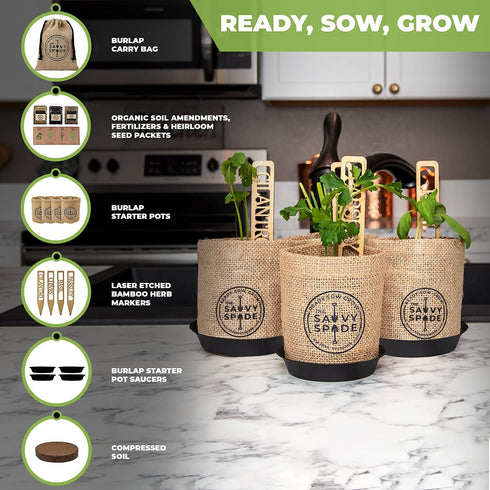 Indoor Herb Garden Starter Kit - Non GMO, Heirloom Herb Seeds - Cilantro, Oregano, Parsley and Basil Seeds for Planting