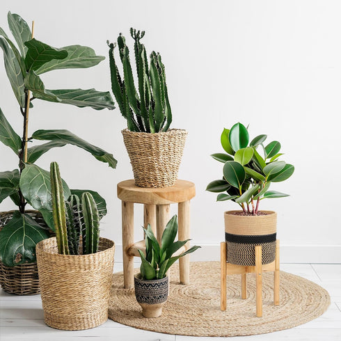 Sunnychicc Stand(7.87 Inch,Black Plant Basket with Stand Indoor Planter Pot Holder Sturdy Jute Rope Modern Woven