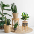 Sunnychicc Stand(7.87 Inch,Black Plant Basket with Stand Indoor Planter Pot Holder Sturdy Jute Rope Modern Woven