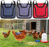 Noamus 3 Pack Chicken Saddle for Hens, Premium Outdoor Saddle with Adjustable