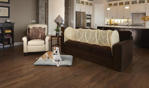 Chair Defender: Keep Pets Off Your Furniture! (Black)