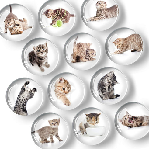 Super Cute Fridge & Locker Magnets – 12 Vibrant Glass Magnets for Photos, Notes, Recipes, Aesthetic Decoration