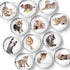 Super Cute Fridge & Locker Magnets – 12 Vibrant Glass Magnets for Photos, Notes, Recipes, Aesthetic Decoration