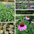 Sow Right Seeds - Large Medicinal Herb Seed Collection for Planting - Chamomile, Echinacea, Lavender, Mint, Lovage