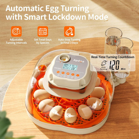 12 30 APDOE Egg Incubators for Hatching Eggs, Temperature and Humidity Control, Automatic Egg Turning, Egg Candler