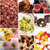 2Pcs 32 Gummy 2 5/8x5/8x5/8in Gummies, AIERSA Silicone Molds for Herb-Infused Oil Cubes, Cavity Candy Molds with Lids