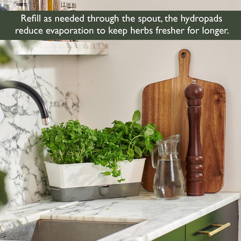 Cole & Mason Triple Self-Watering Herb Keeper - Burwell