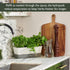 Cole & Mason Triple Self-Watering Herb Keeper - Burwell