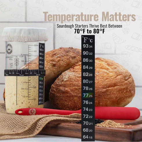 Cozy mL Bread Sourdough Starter Jar Kit - USA Brand - Cups and Measurement Lines - Dishwasher Safe
