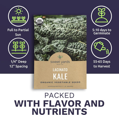 2 Packets! 500 Organic Lacinato Kale Seeds - Seed - Over Open Pollinated Heirloom Non-GMO USDA Organic Seeds