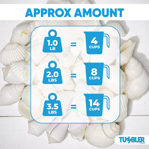 Tumbler Home Mix of White Seashells - Set Includes 1 Pound White Shells up to 3 inches for Home Decor and Crafts