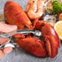 Set 2 2 4 Set Seafood Tools includes Crab Crackers, Lobster Crackers Shellers, Crab Leg Forks/Picks - Nut Cracker