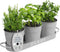 Barnyard Designs Indoor Herb Garden Planter Set with Tray, Metal Windowsill Plant