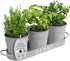 Barnyard Designs Indoor Herb Garden Planter Set with Tray, Metal Windowsill Plant