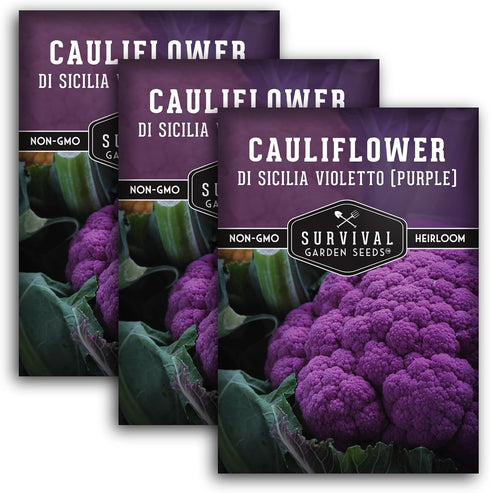 Purple Cauliflower Seeds for Planting Violetto di Sicilia Heirloom Italian Cauliflower Variety