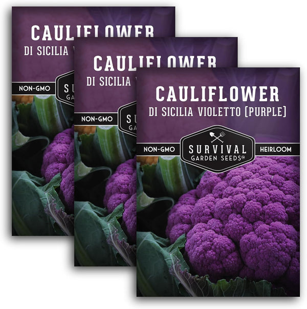 Purple Cauliflower Seeds for Planting Violetto di Sicilia Heirloom Italian Cauliflower Variety