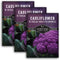 Purple Cauliflower Seeds for Planting Violetto di Sicilia Heirloom Italian Cauliflower Variety