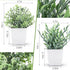 Der Rose 2 Pack Small Fake Plants, Artificial Eucalyptus Greenery in Pots for Bedroom Living Room Decor