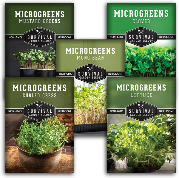 Microgreens Seeds 5-Variety Pack for Sprouting Mustard, Mung Bean, Curled Cress, Clover