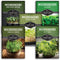 Microgreens Seeds 5-Variety Pack for Sprouting Mustard, Mung Bean, Curled Cress, Clover