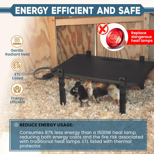 2-In-1 200-Watt 50W Farm Innovators Radiant Chicken Coop Panel Heater Converts to Brooder Heater for Chicks, Free