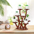 9 Jotsport Pots Mini Succulent Stand Windowsill Small Plant Stand Multi Layers Succulents Display Shelf Kitchen
