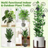 2 Pack 30 Inch Taller Plant Trellis for Potted Climbing Plants Indoor,Expandable Metal Garden Trellis for Climbing