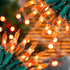 Hopolon Orange Halloween Lights, 2PACK 13ft 50 Orange Lights String,120V Fall String